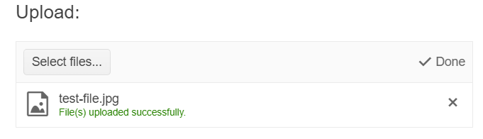 Sample Telerik UI for ASP.NET Core Upload