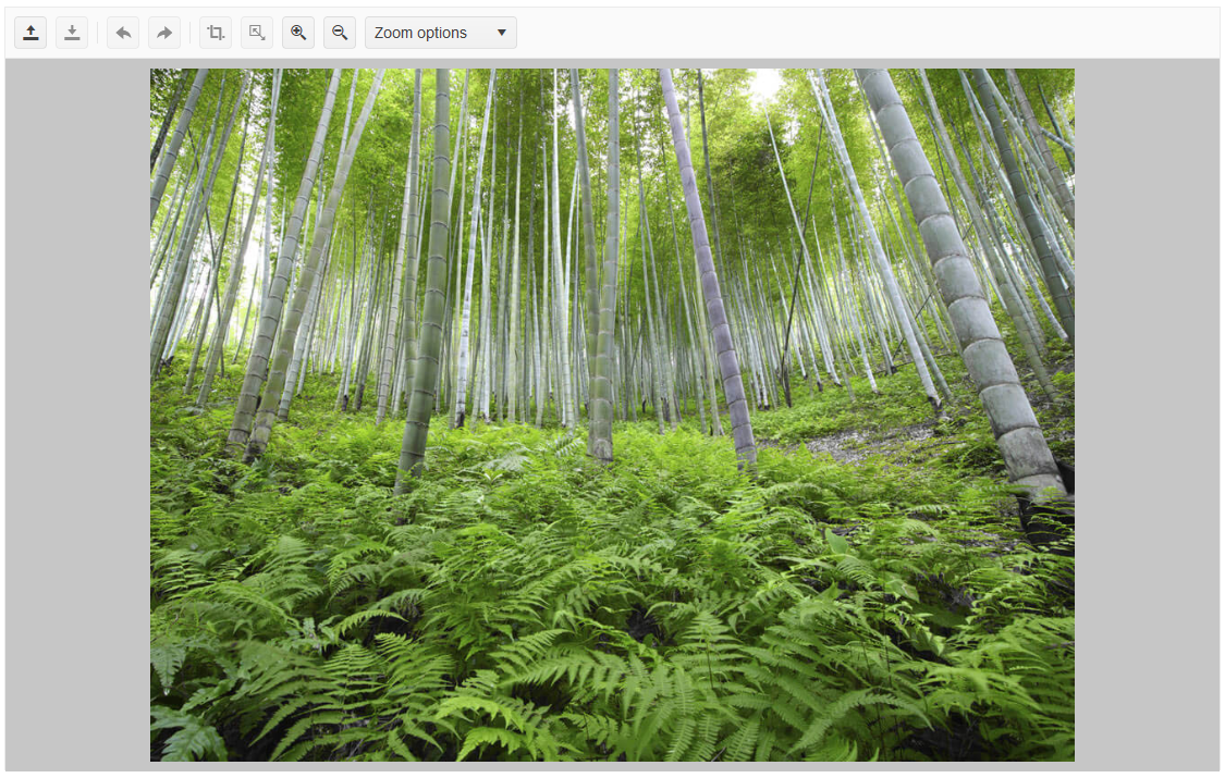 Sample Telerik UI for ASP.NET Core ImageEditor