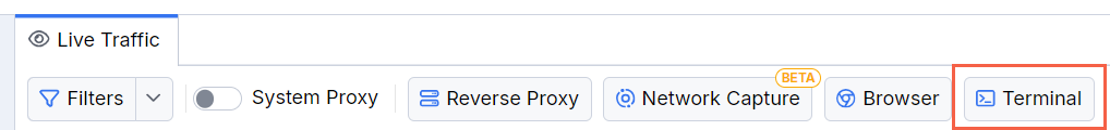 Use the "Terminal" button to capture traffic from Node.js or other terminal application