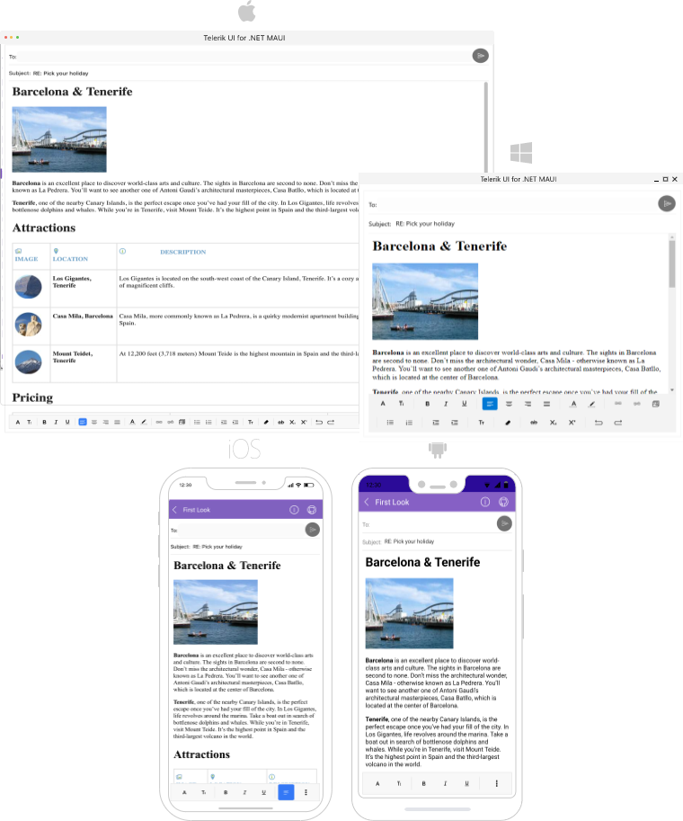 .NET MAUI Rich Text Editor Overview