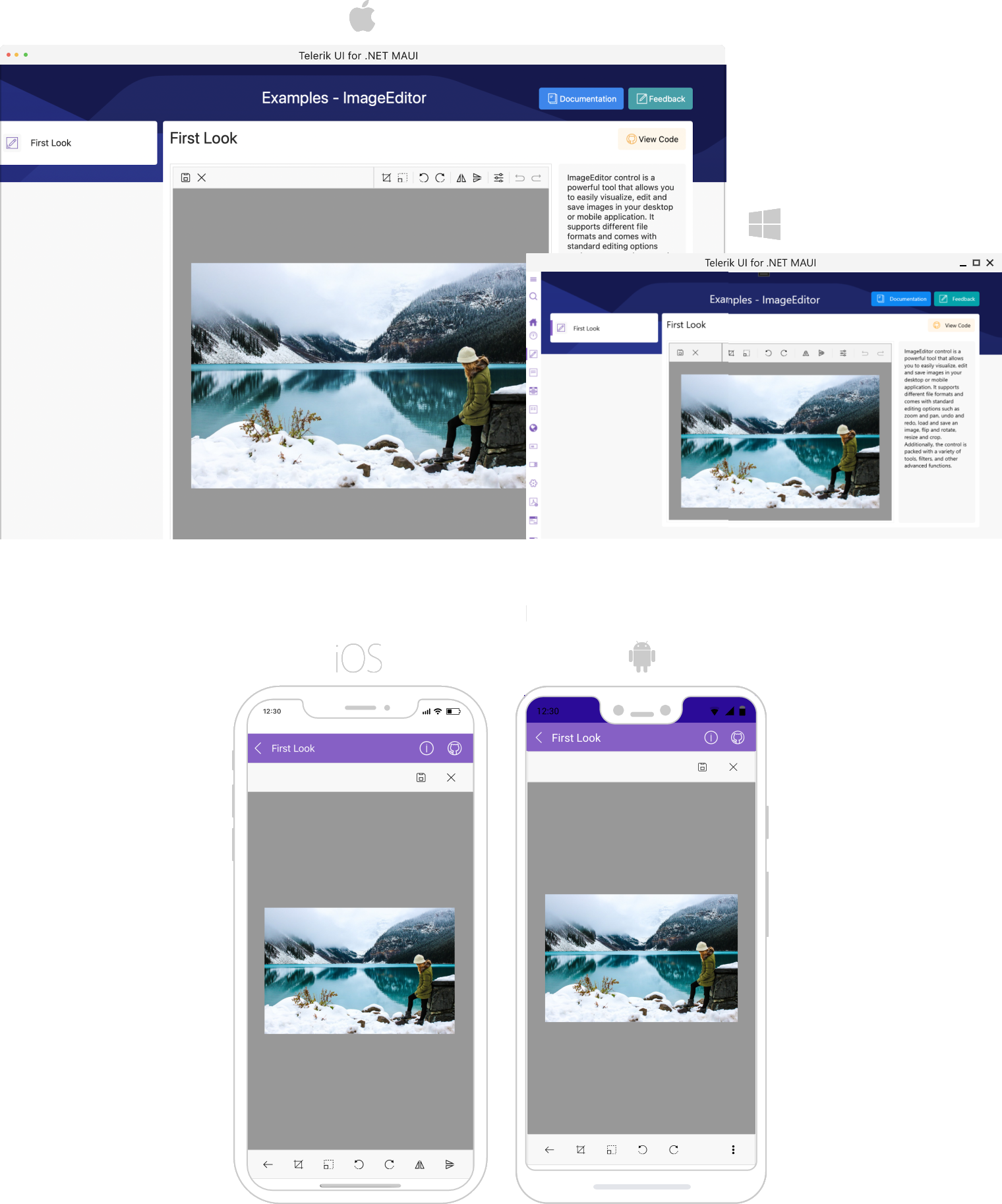 ImageEditor Overview .NET MAUI ImageEditor Overview