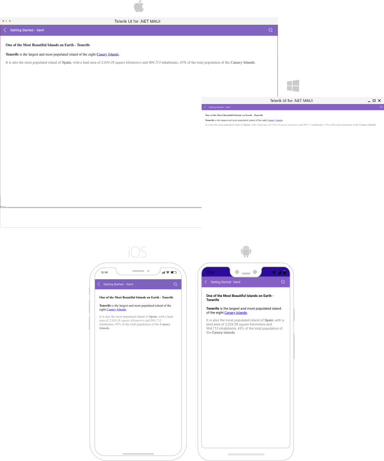 .NET MAUI RichTextEditor Getting Started