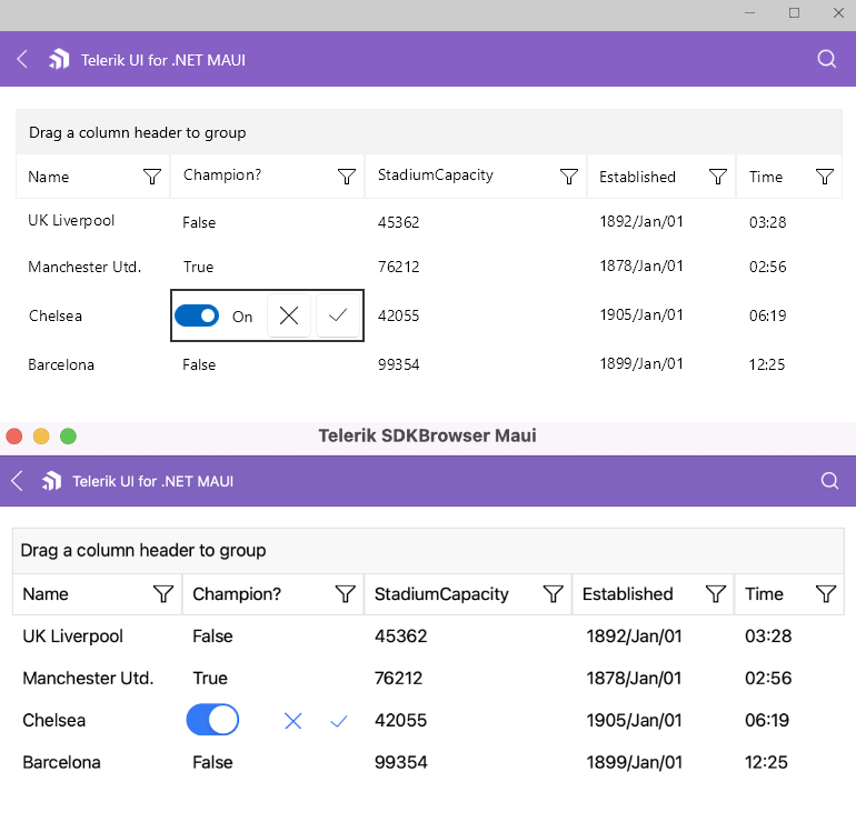 DataGrid Cell Edit Template