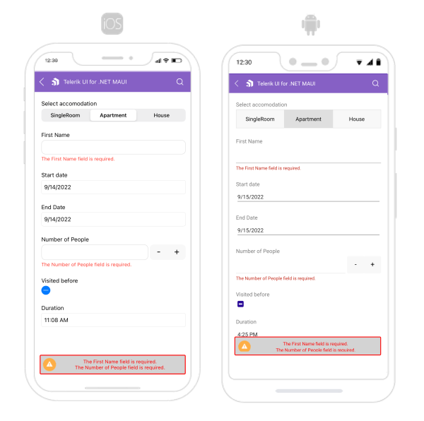 .NET MAUI DataForm Validation Styling