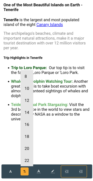 .NET MAUI RichTextEditor Toolbar Styling