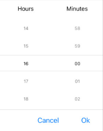 TimePicker Formatting