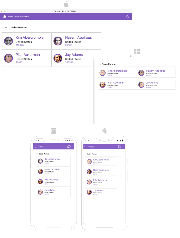 .NET MAUI Expander Overview