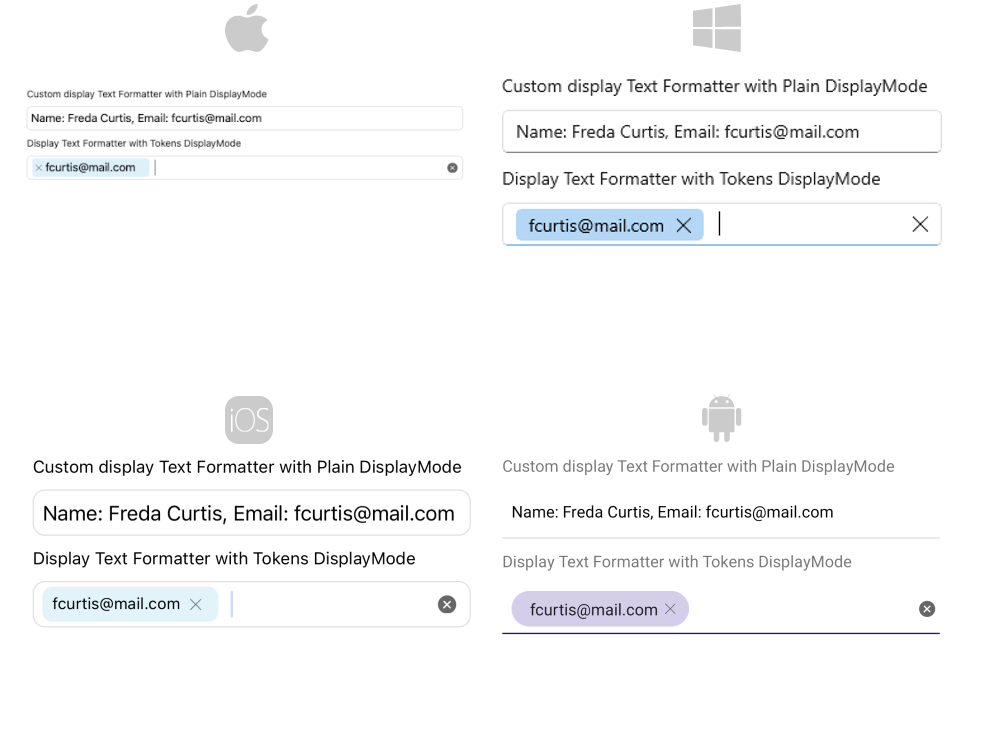 AutoComplete DisplayText Formatter .NET MAUI AutoComplete DisplayText Formatter
