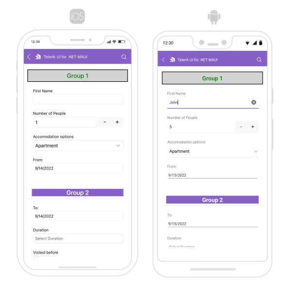 .NET MAUI DataForm Group Styling