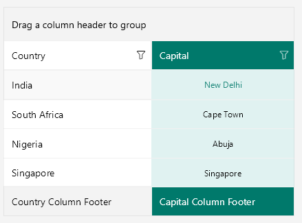 DataGrid Column Footer