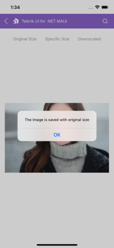 Visual elements of Toolbar Toolbar Visual Structure