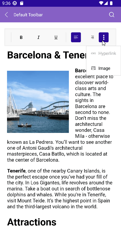 .NET MAUI RichTextEditor Mobile Toolbar
