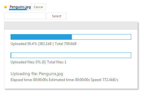 WebForms Progress Area WebForms Progress Area
