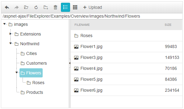 WebForms FileExplorer Overview Images Default images