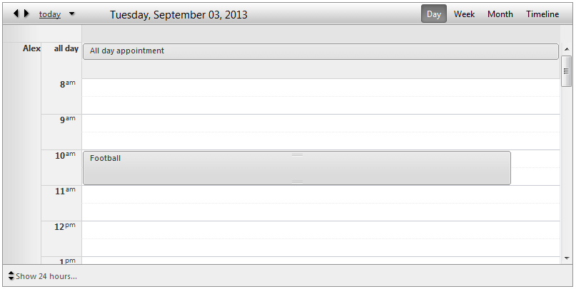 scheduler-views-dayview-verticalgroupingbyresource
