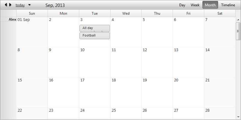 scheduler-views-monthview-verticalgroupingbyresource