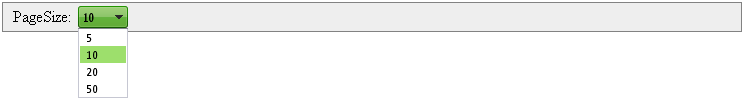 RadDataPagerPageSizeField