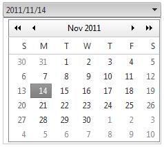 ComboBox Calendar Template