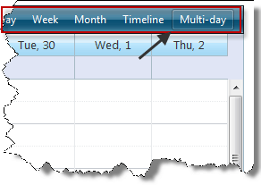 navigating using the view type tabs